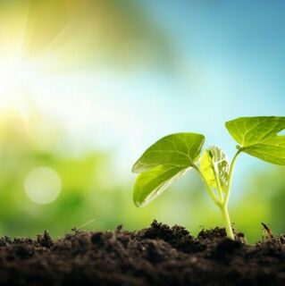 Horticulture